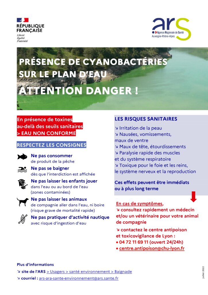 cyanobactéries